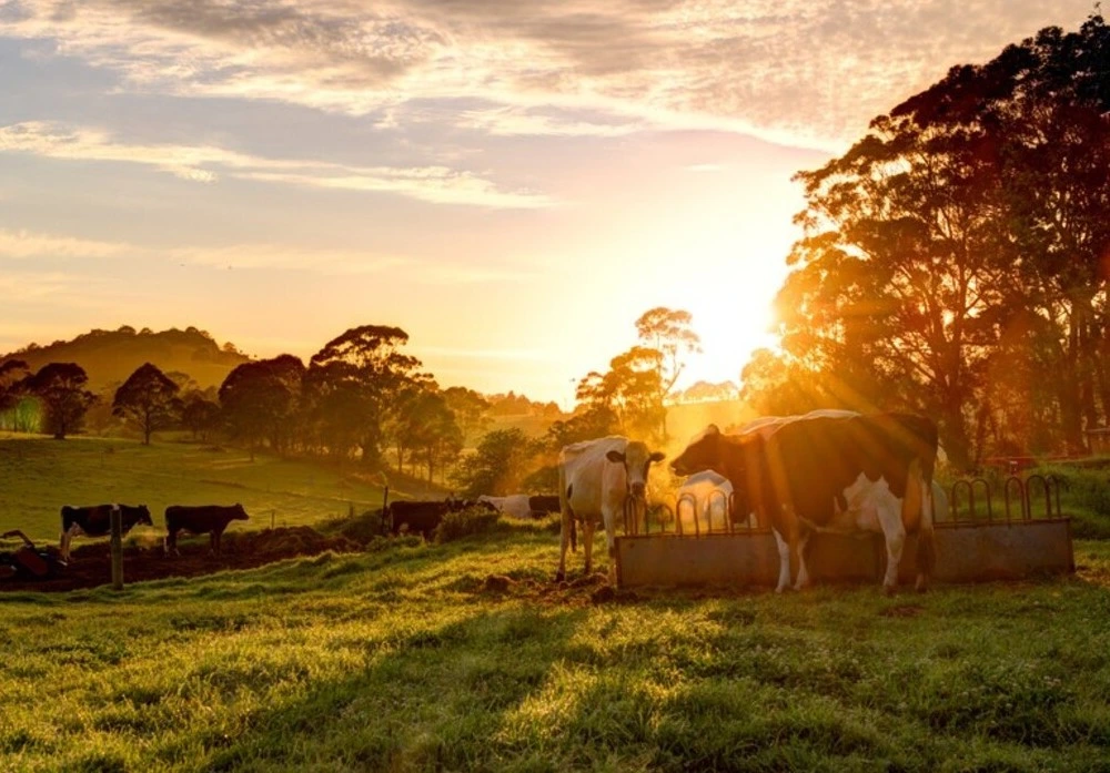 Farm corral representing agricultural operations
